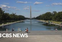 Timeline of Lincoln Memorial Reflecting Pool issues amid Trump makeover