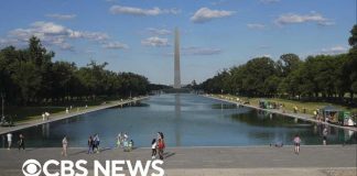 Timeline of Lincoln Memorial Reflecting Pool issues amid Trump makeover