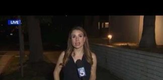 Reporters Reaction Goes VIRAL After Cockroach Invasion Cockroach lands on reporter during live report