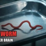 She ate Wild Greens. One Year Later, They Pulled A Live Worm From Her Brain.
