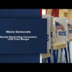 Dem Senators Look to Switch Parties – PANIC After Upset Democratic Nomination Convention for US Senate
