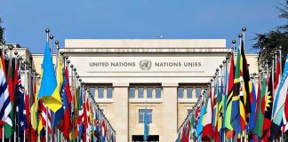 Hollywood Star ARRESTED Outside UN Assembly United Nations building with numerous national flags outside.