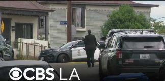 LAPD officer shoots and kills man allegedly armed with a pruning pole