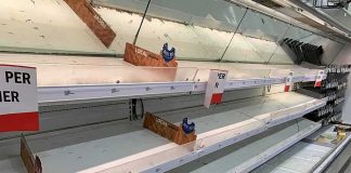 Empty grocery store refrigerated shelves