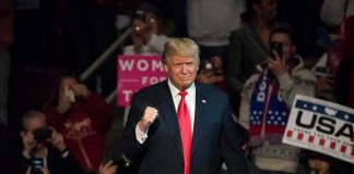 Donald Trump at a rally raising his fist amid a cheering crowd