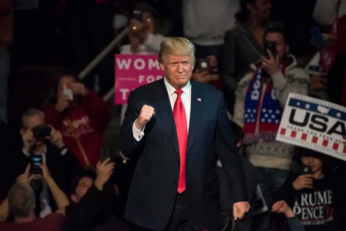 shutterstock_551329747 Donald Trump at a rally raising his fist amid a cheering crowd