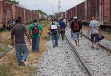 Group of people walking along railroad tracks between freight trains