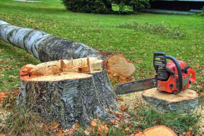 A chainsaw rests on a freshly cut tree stump in a grassy area