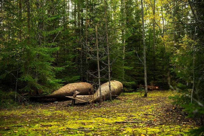 shutterstock_1686652192 Abandoned metal tanks lying on mossy forest floor