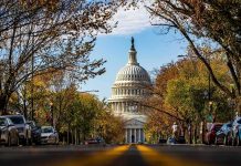 United States Capitol dome framed by a tree-lined street