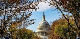 Senator Faces Ethics Probe After Threatening Trump Staffers United States Capitol dome framed by a tree-lined street